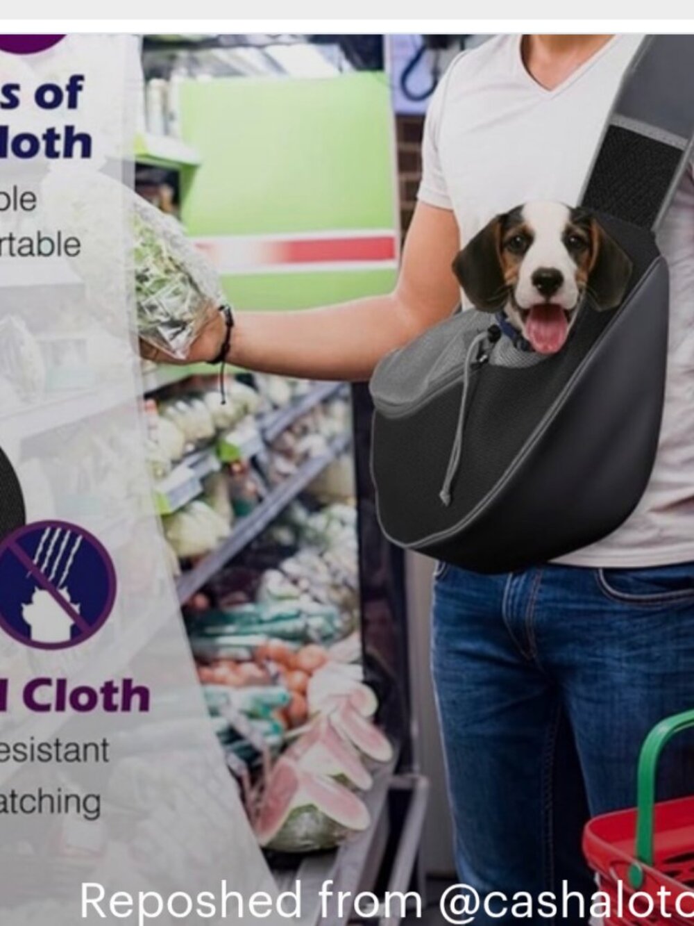 Hands-Free Pet Sling Carrier Chihuahua Yorkie  Black/Gray- S to M-- up to 12 lbs